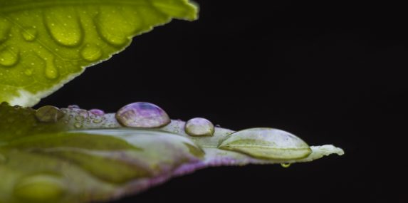 Sosiaalisesta osingosta uusi keino jakaa hyvinvointia